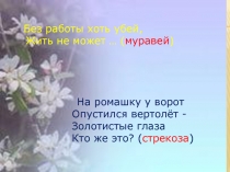 Презентация для урока 