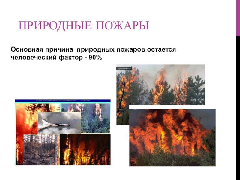 Какие существуют пожары. Человеческий фактор причина природных ЧС. Причины природных пожаров. Природные факторы пожара. Природные пожары ЧС.