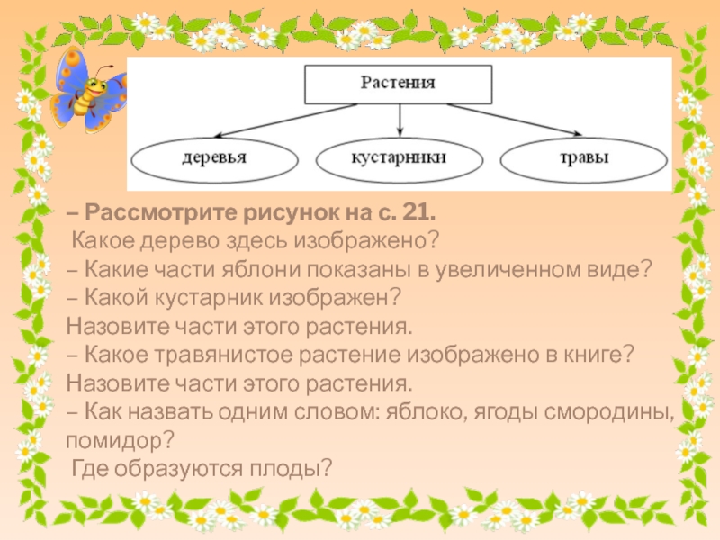 Растение части слова. Растения это кто или что в русском языке. Трава травянистый какое слово пропущено. Как называется такой вид текста что здесь изображено.