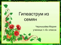 Исследовательская работа по теме: 