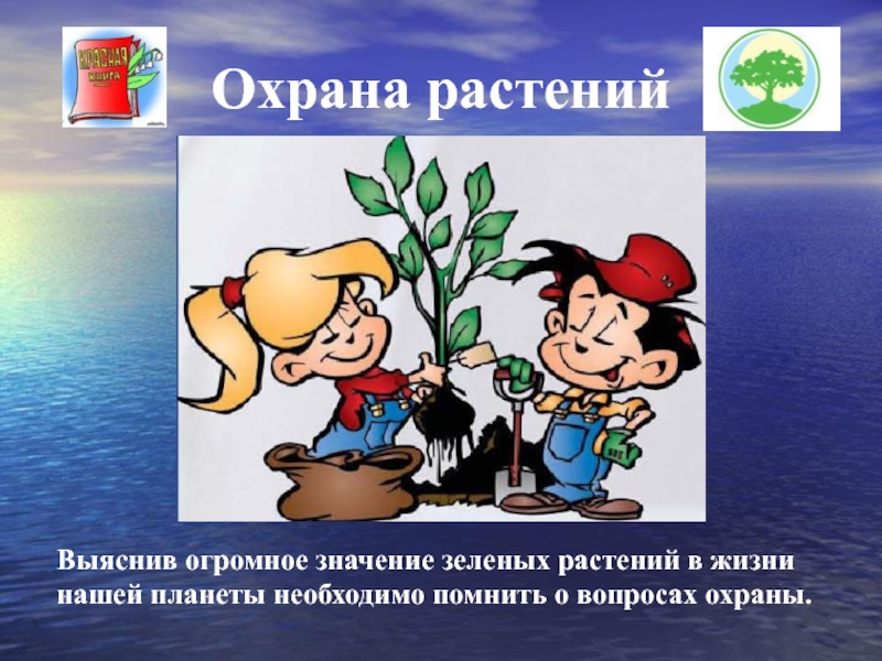 Что люди делают для охраны растений. Охрана растений. Правила охраны растений. Значение растений и охрана. Зеленая охрана растения.