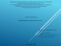 Проектная работа. Выращивание сахарных кристаллов.