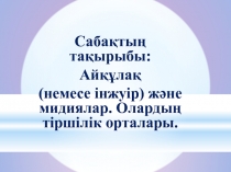 Ай??ла? (немесе інжуір) ж?не мидия 7 сынып?а арнал?ан саба? жоспары.