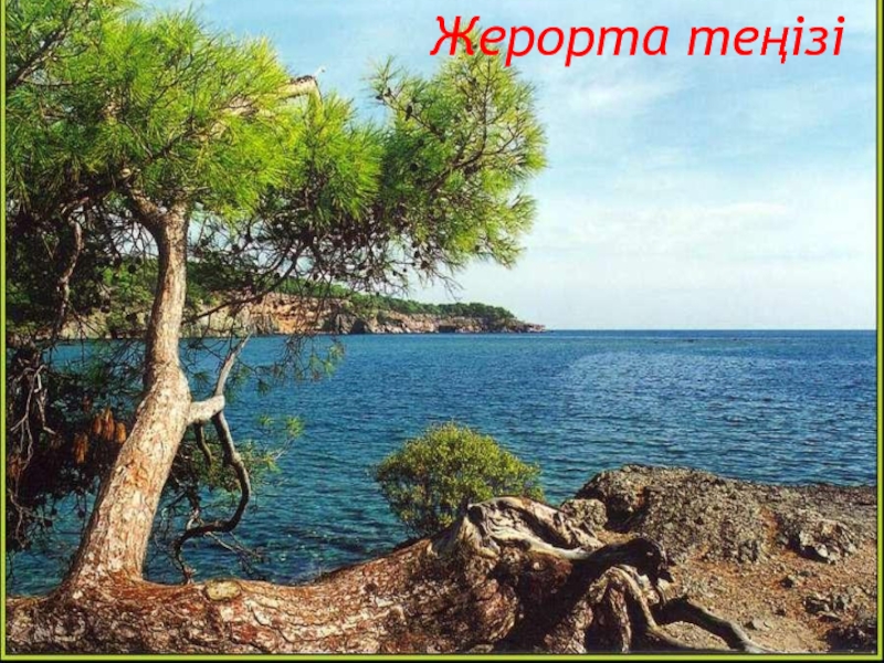 Жерорта теңізі карта