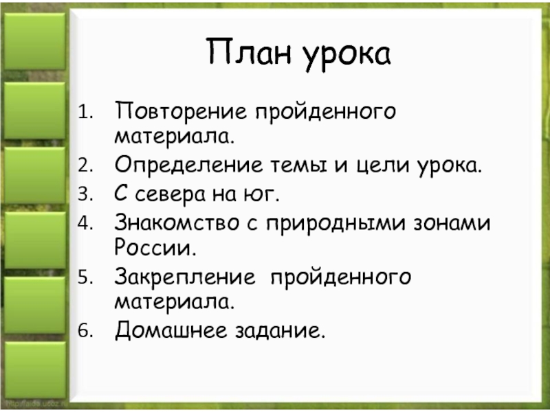 План изучения природной зоны