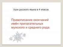 Правописание окончаний имён прилагательных мужского и среднего рода.