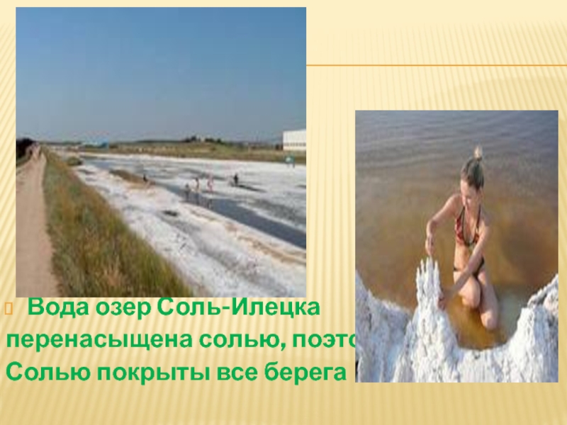 Проект Вода озер Соль-Илецкаперенасыщена солью, поэтомуСолью покрыты все берега