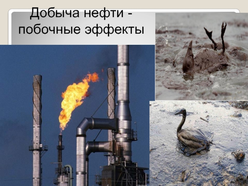 Картинки что делают из нефти