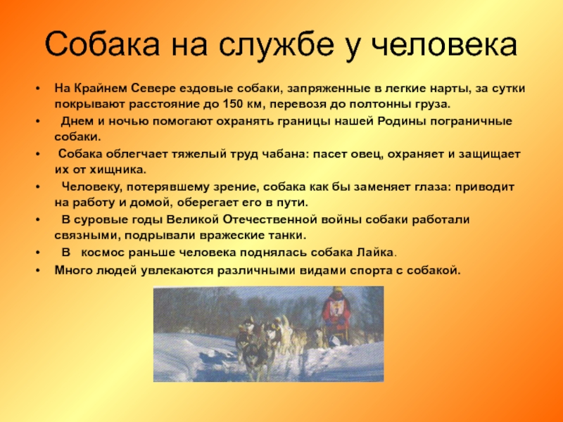 Животные на службе безопасности жизни человека технология 5 класс презентация