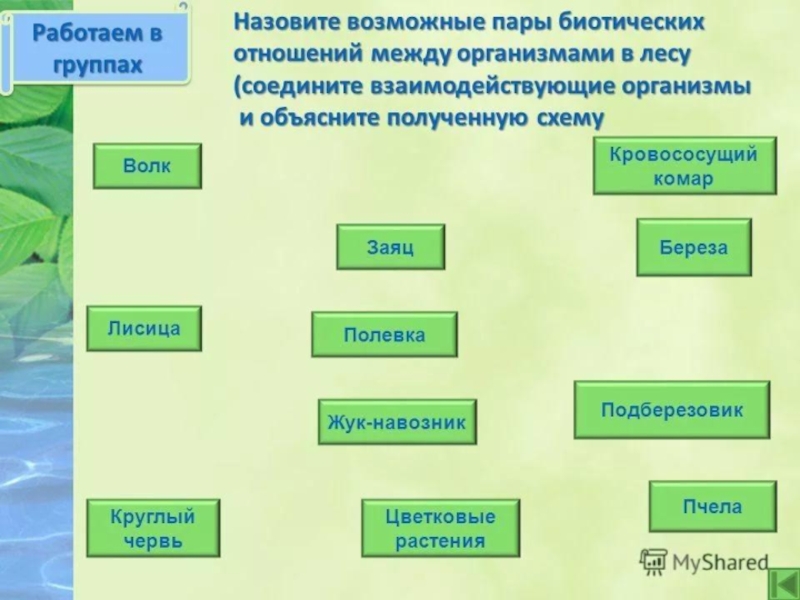 Типы взаимоотношений организмов презентация