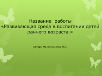 Развивающая среда в воспитании детей раннего возраста.