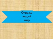 Презентация по окружающему миру в 1 классе по теме: 