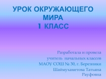 Презентация к уроку окружающий мир на тему 