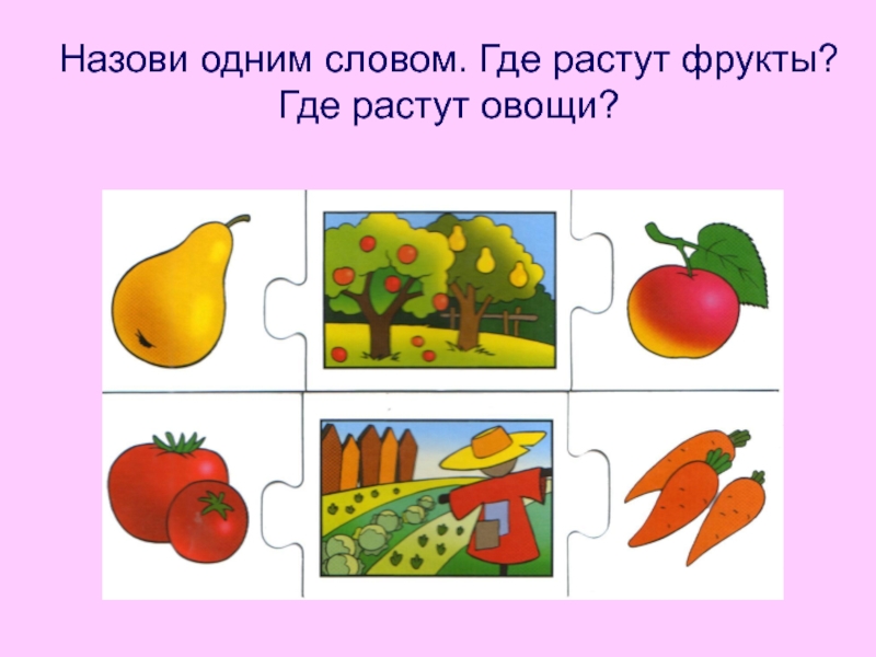 Назови плодовые. Где растут овощи. Лексическая тема фрукты. Фрукты для презентации. Картинка где растут фрукты.