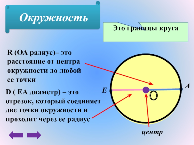 Есть граница круга. Окружность. Граница окружности. Круг окружность центр радиус диаметр. Диаметр окружности это отрезок который.