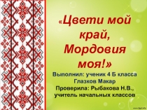 Цвети мой край - Мордовия моя!