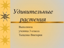 Познание мира Тема: Удивительные растения