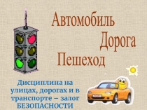 Автомобиль. Дорога. Пешеход.