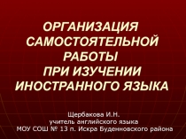 Организация самостоятельной работы при изучении иностранного языка