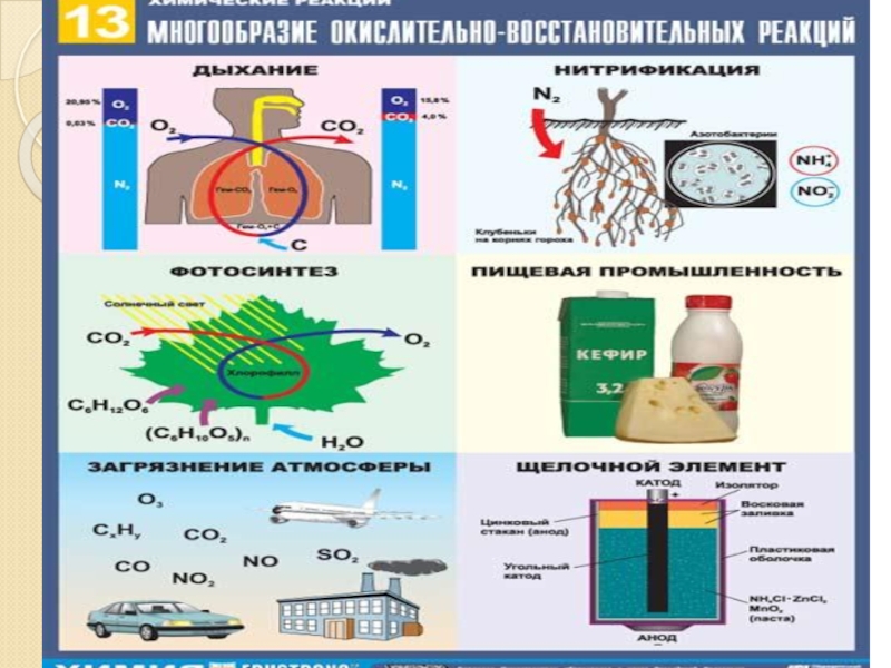 Овр в жизни человека презентация