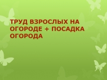 Труд взрослых на огороде + посадка огорода.