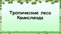 Дополнительный материал по страноведению в 10 классе по теме 