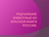 Презентация. Редкие животные из красной книги. России.