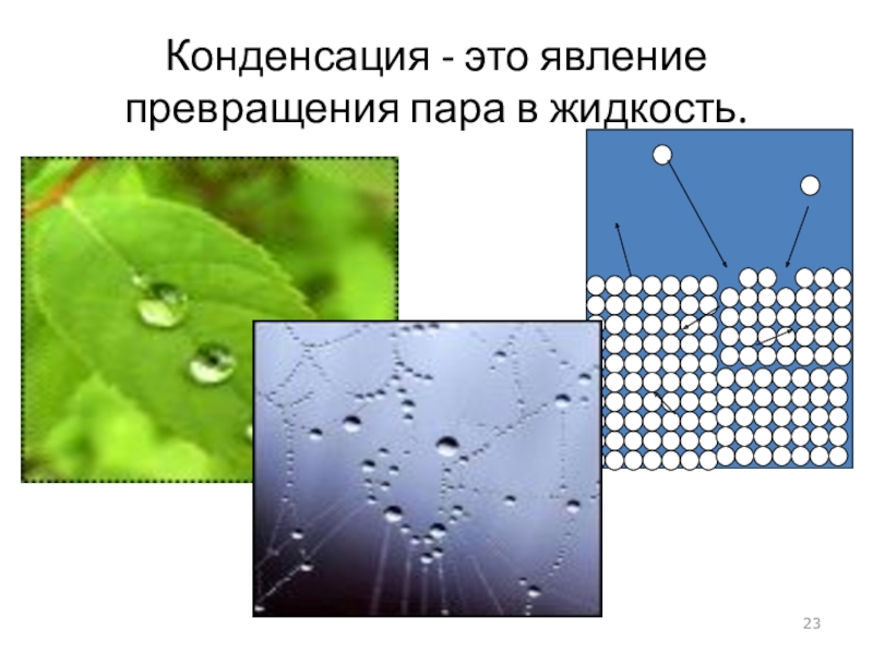 Конденсация какой процесс. Конденсация молекул. Конденсация физика. Конденсация презентация. Конденсация — это процесс превращения....