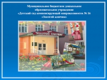 Использование ИКТ в коррекции психофизического и речевого развития детей с ОВЗ