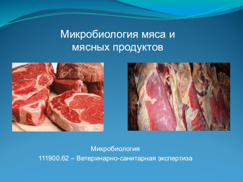 Микробиология мяса и мясных продуктов