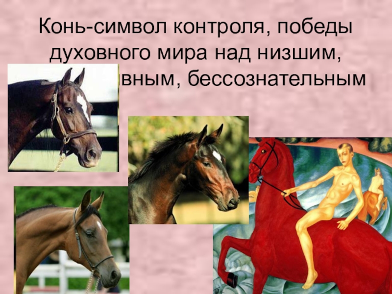 Конь-символ контроля, победы духовного мира над низшим, импульсивным, бессознательным