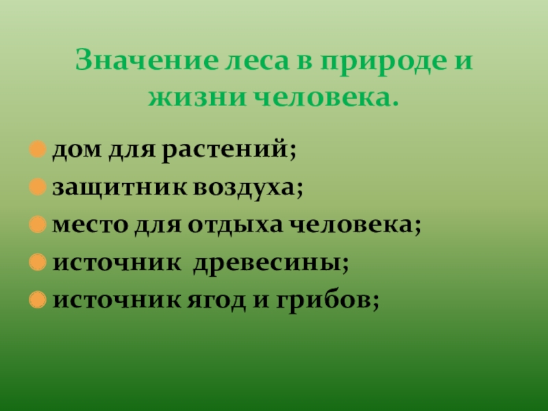 Значение леса презентация 7 класс 8 вид