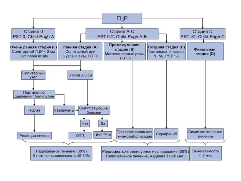 Терапия рака печени. Барселонская классификация ГЦР. ГЦР классификация. Гепатоцеллюлярная карцинома классификация. Барселонская классификация гепатоцеллюлярного.
