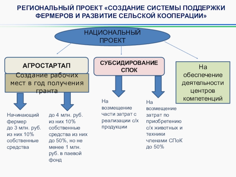 Паспорт федерального проекта создание системы поддержки фермеров и развитие сельской кооперации