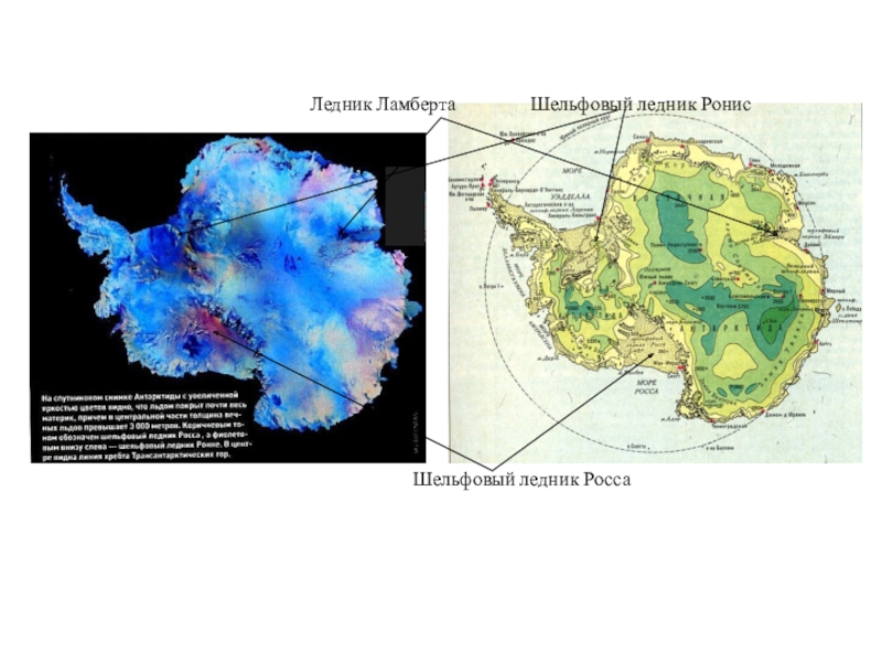 Самый большой материк покрытый ледником на карте. Ледник Ламберта на карте. Тектоника Антарктиды. Ледник Росса на карте. Ледник Ламберта на карте Антарктиды.