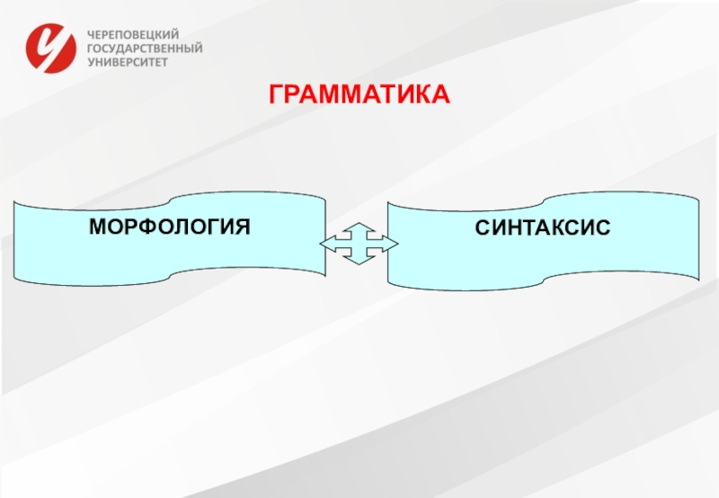 Морфология синтаксис презентация