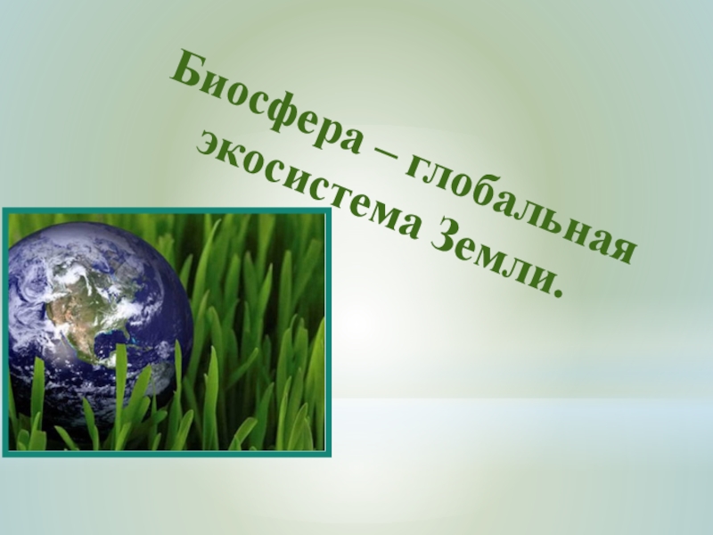Биосфера – глобальная экосистема Земли