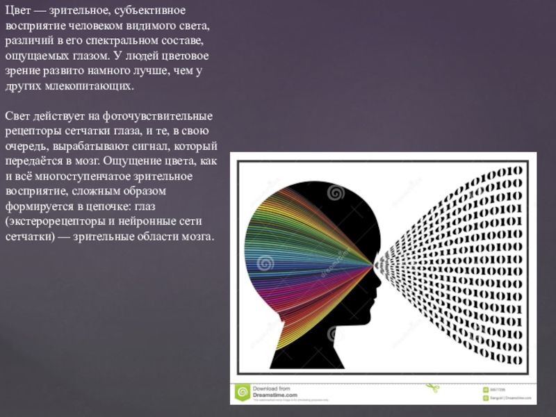 Цветное зрение у человека. Зрительное восприятие цвета. Восприятие цвета человеком. Цветовое зрение человека. Восприятие цвета глазом.