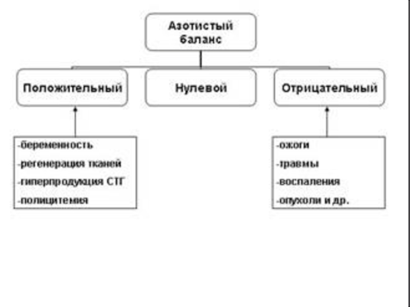 Азотистый баланс презентация