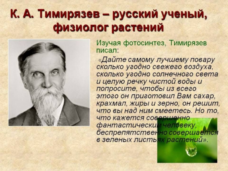 Ученый изучающий общество использует. К А Тимирязев фотосинтез 1869. Фотосинтез открытие Тимирязева.