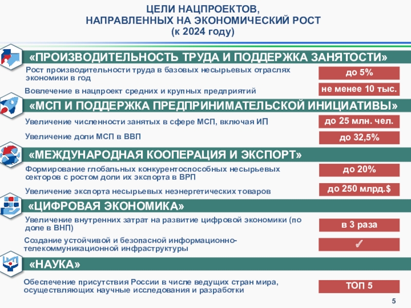 Национальная программа и национальный проект разница