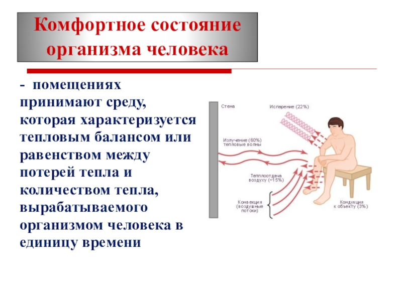 Состояние организма. Комфортное состояние. Состояния организма человека. Тепловой баланс организма человека. Механизмы потерь тепла организмом в %.