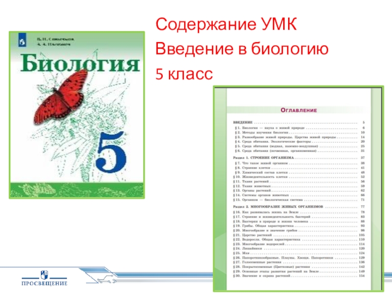 Как развивалась жизнь на земле презентация 5 класс сивоглазов