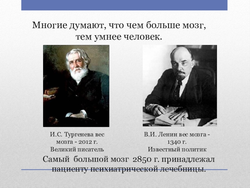 Сколько весит мозг. Вес головного мозга Тургенева. Мозг Тургенева весил. Масса мозга великих людей. Мозг великих людей.