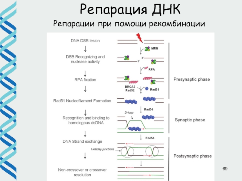 Днк проект ингушей