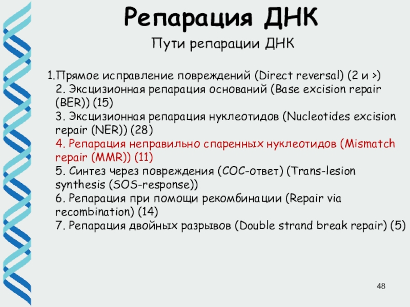 Днк проект. Исправление повреждений ДНК – репарация. Эксцизионная репарация ДНК. Эксцизионная репарация оснований. Эксцизионная репарация ДНК MMR.