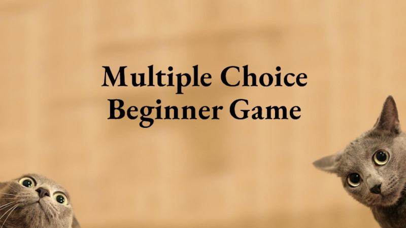 Multiple Choice Beginner Game