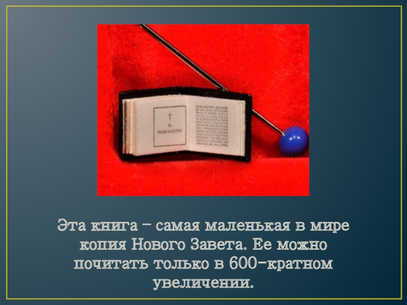 Самая новая книга в мире. Самые маленькие книги. Самая маленькая книга в мире. Самая маленькая книга. Самая маленькая книжка в мире.