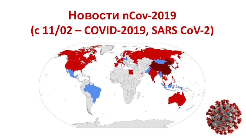 Новости nCov-2019 (c 1 1 /02 – COVID-2019, SARS CoV-2)