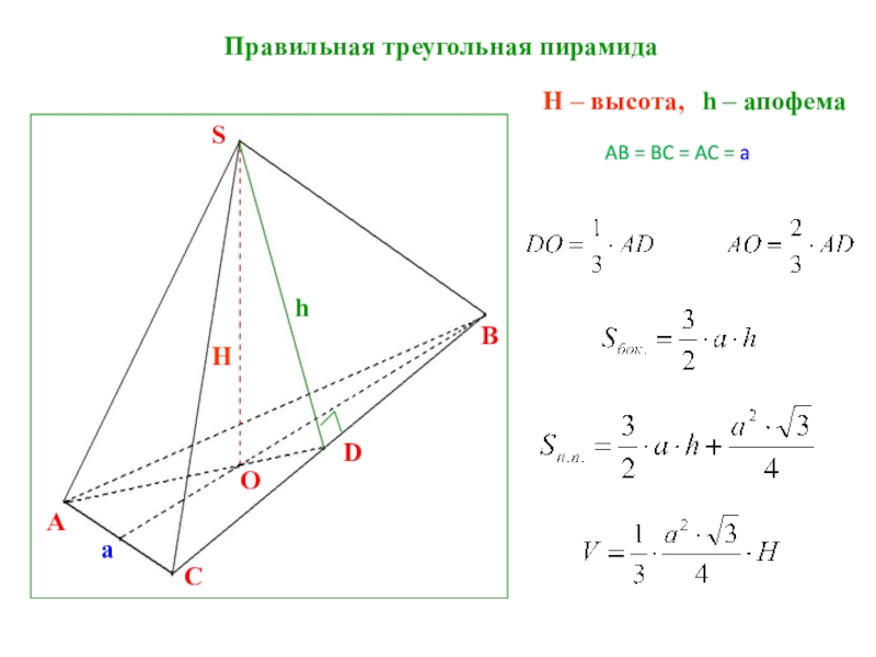 Апофема с плоскостью основания пирамиды. Апофема треугольной пирамиды. Апофема правильной треугольной пирамиды. Апофема треугольника. Многогранники геометрия 10 класс.